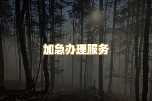 认证费用报价
