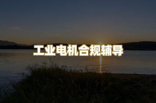 工业电机合规辅导